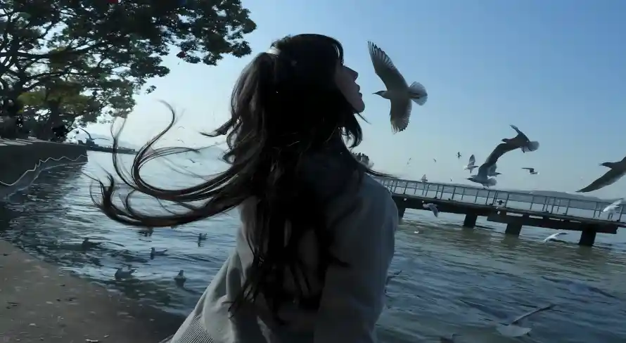 2k栈桥壁纸-树木 - 海浪-海边「哲风壁纸」