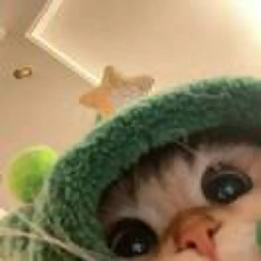 西绿柿的头像