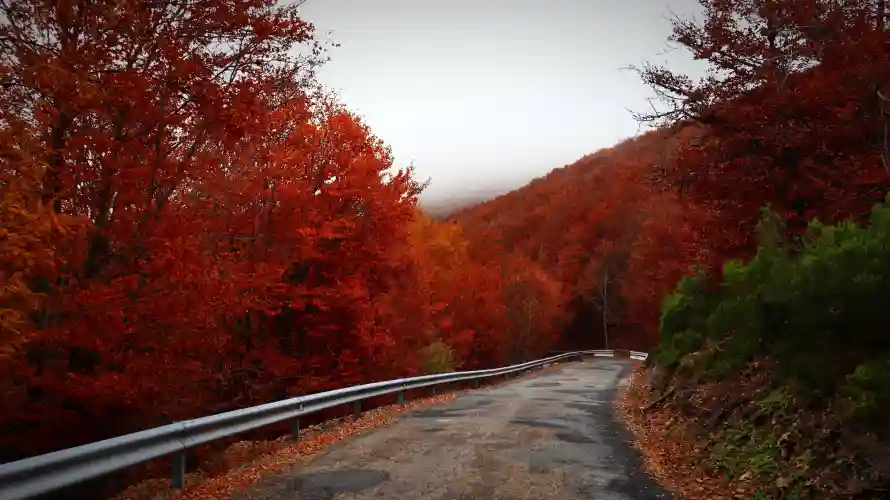 6k公路壁纸-山坡 - 山景-山路「哲风壁纸」