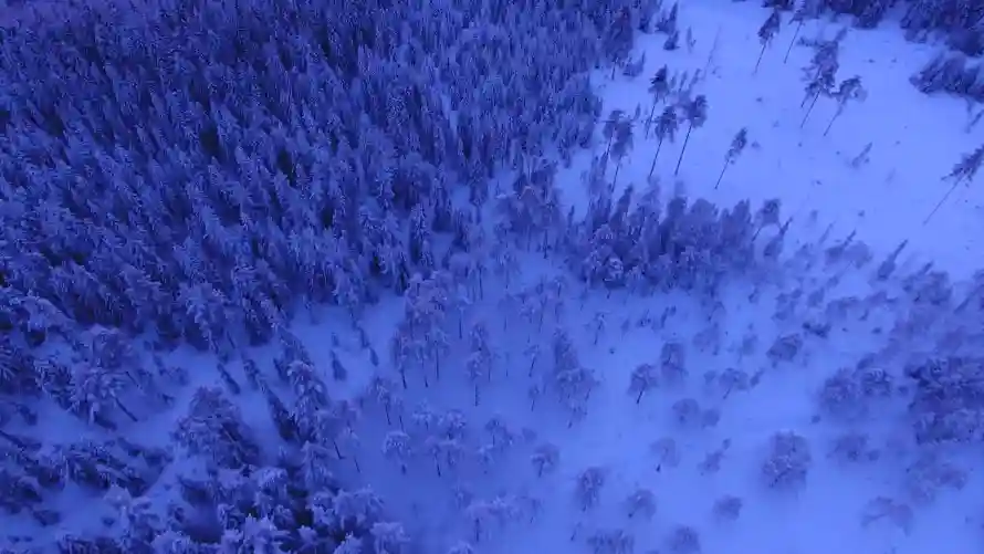 4k严寒壁纸-冬天 - 冬季-冰雪「哲风壁纸」