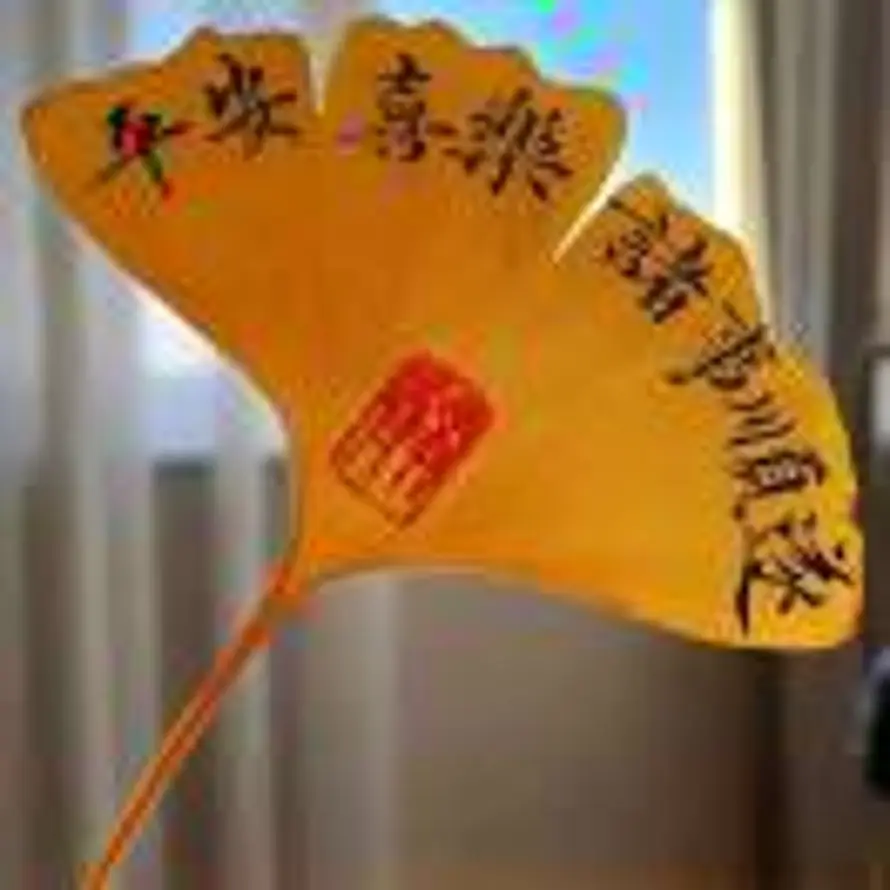 黄中阳的头像