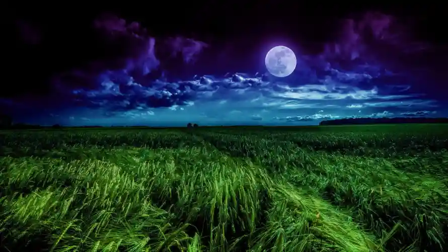 4k夜晚壁纸-夜空 - 夜色-晚风「哲风壁纸」