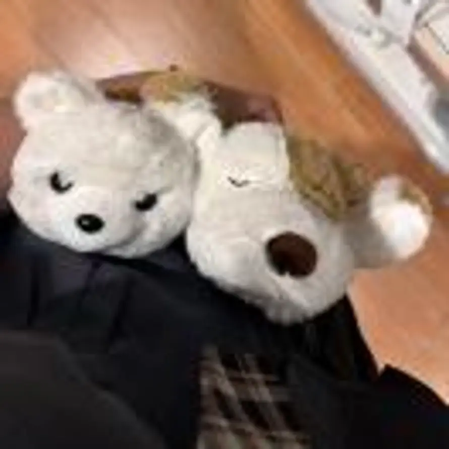 Sehnsucht的头像
