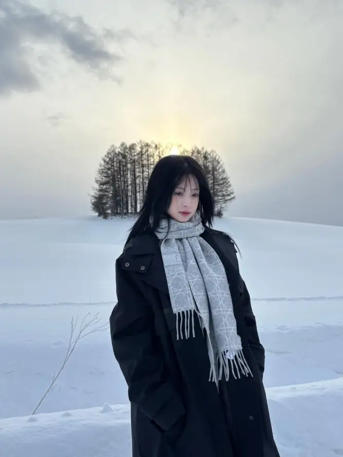 4k下雪壁纸 - 冬季 - 户外 - 树木「哲风壁纸」