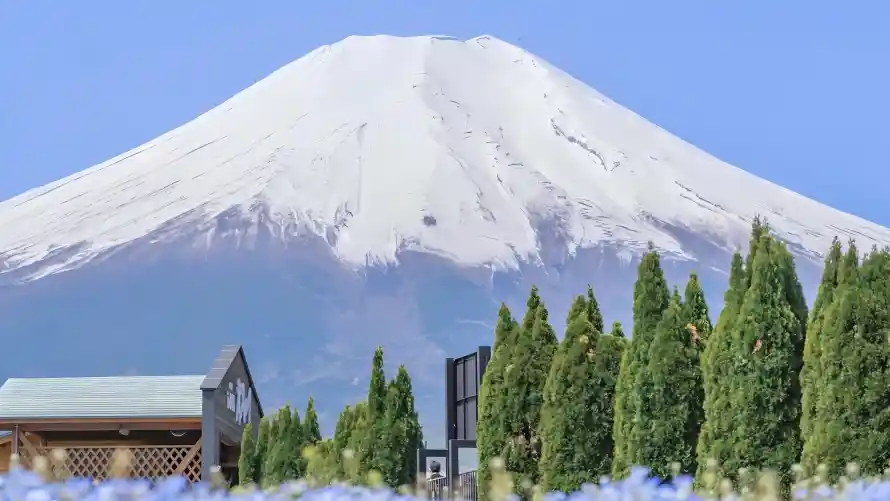 4k户外壁纸-旅行 - 晴朗-木屋「哲风壁纸」