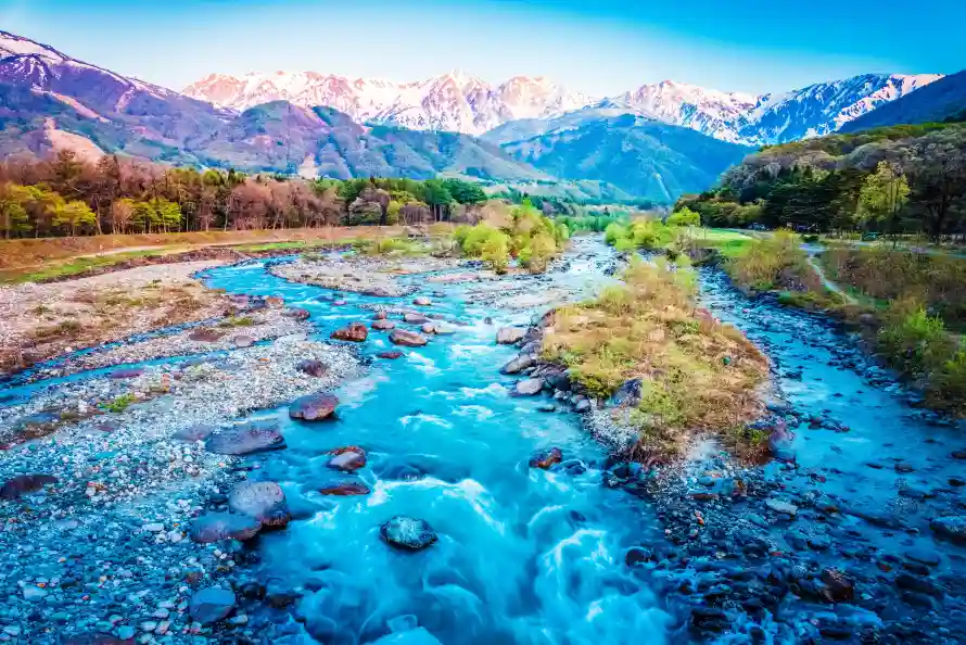 8k山谷壁纸-树林 - 植被-江水「哲风壁纸」