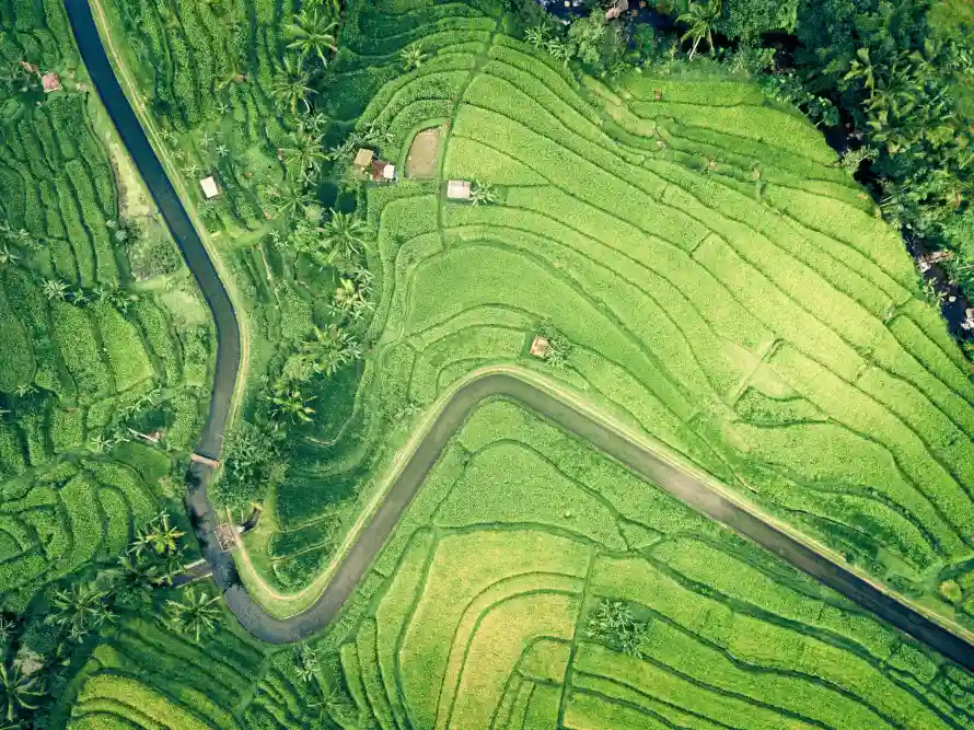 4k丘陵壁纸-乡村 - 小路-梯田「哲风壁纸」