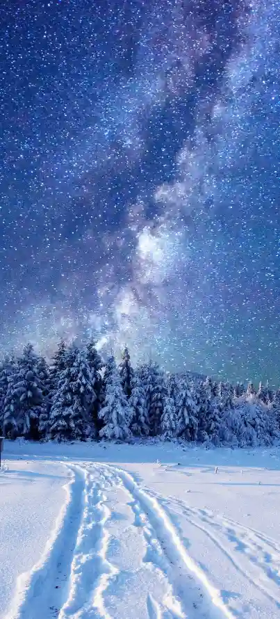4k冬季壁纸 - 夜空 - 手机 - 星空「哲风壁纸」