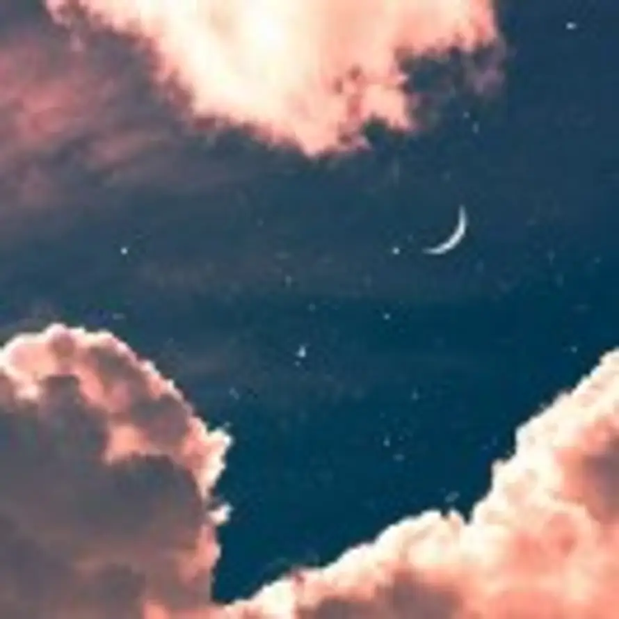 灿若星河的头像