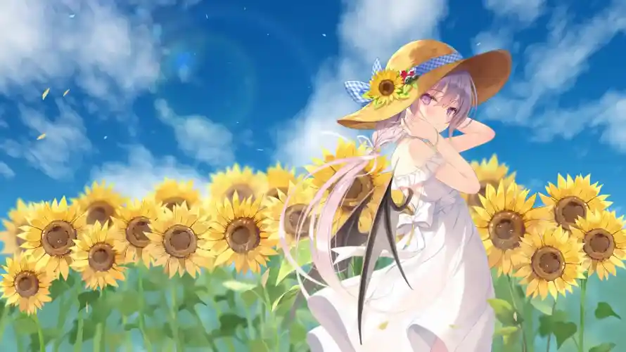 3k夏日壁纸-少女 - 晴空-白毛「哲风壁纸」