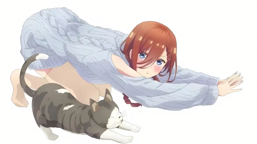 2k少女壁纸-灰猫 - 猫咪-二次元「哲风壁纸」