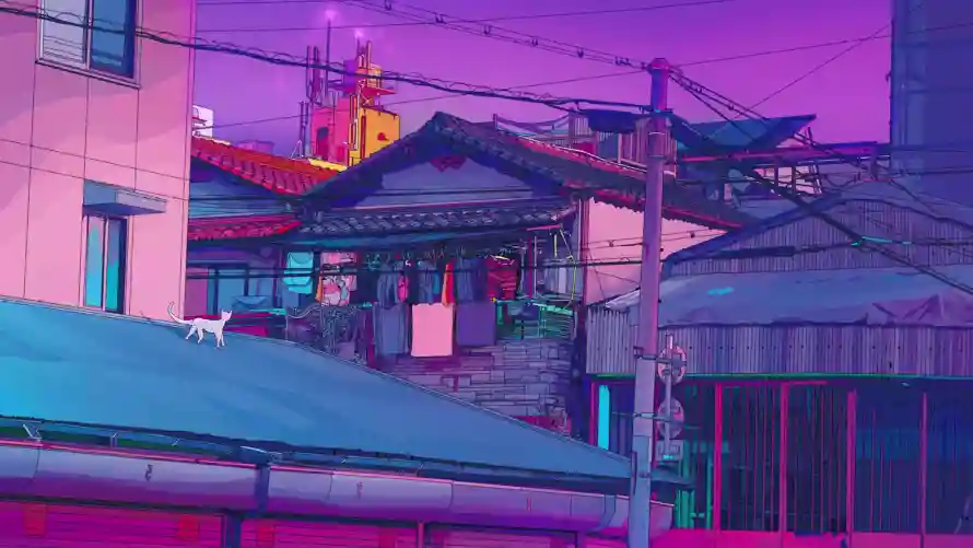 4k傍晚壁纸-插画 - 晚霞-白猫「哲风壁纸」