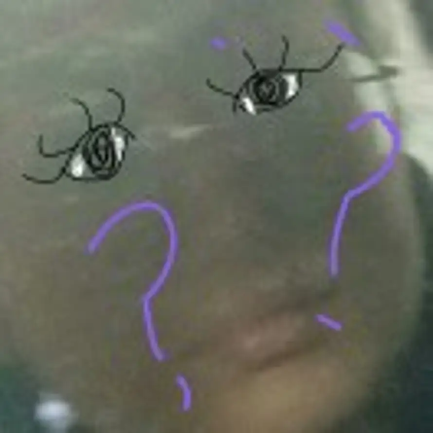 ggggg的头像