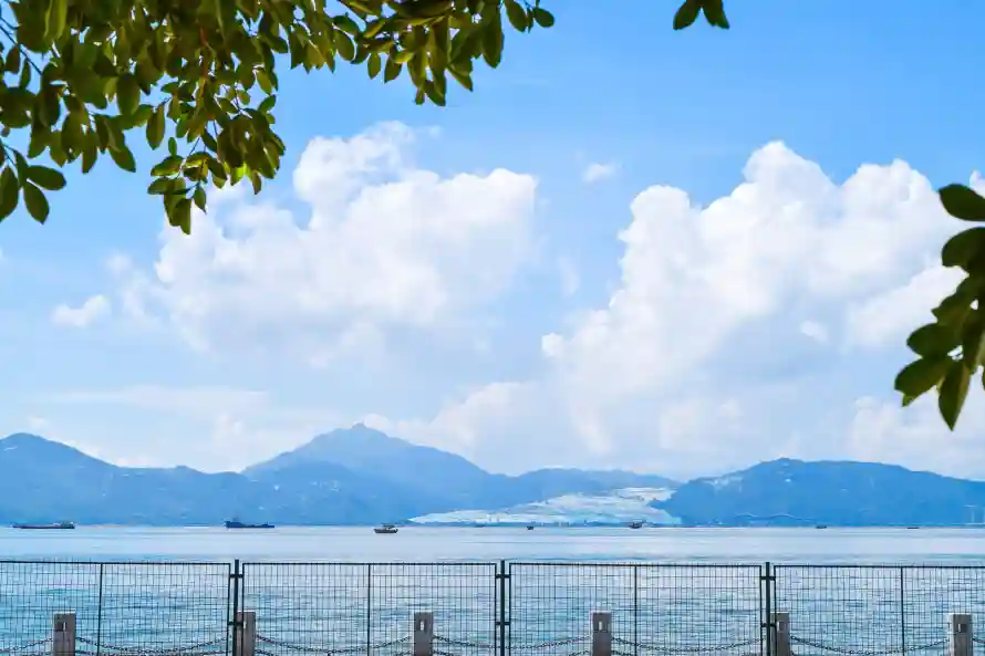 6k晴天壁纸-树叶 - 水面-江水「哲风壁纸」