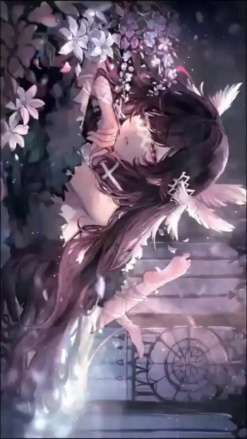 4k原神壁纸 - 女性 - 白花 - 羽毛「哲风壁纸」