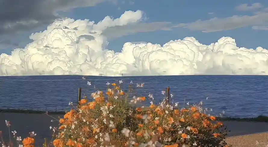5k晴天壁纸-海滨 - 湖泊-野花「哲风壁纸」