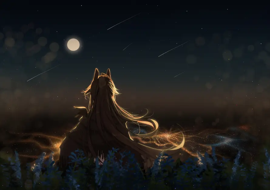 2k兽耳壁纸-月夜 - 流星-游戏「哲风壁纸」