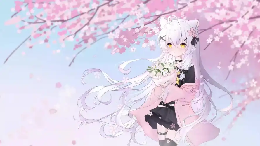 4k兽耳壁纸-樱花 - 白发-花束「哲风壁纸」