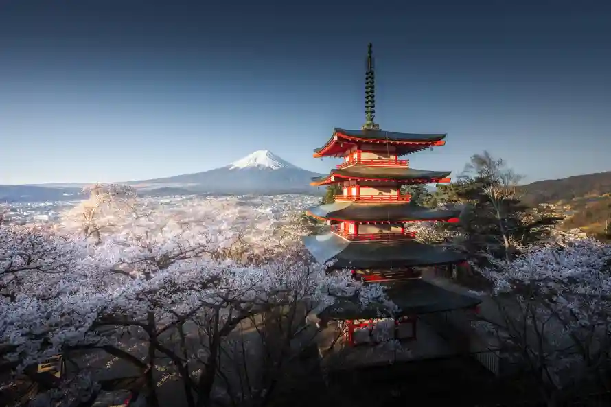 8k壁纸壁纸-日本 - 晴空-樱花「哲风壁纸」