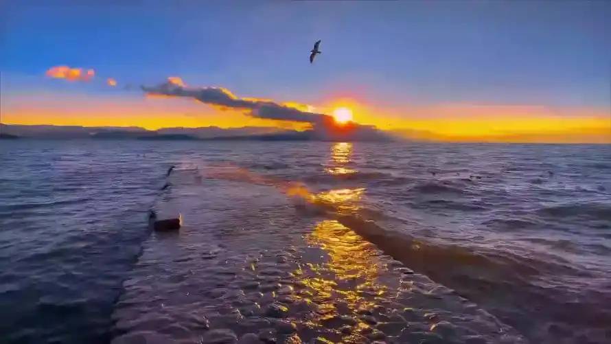 2k壁纸壁纸-夕阳 - 大海-日落「哲风壁纸」