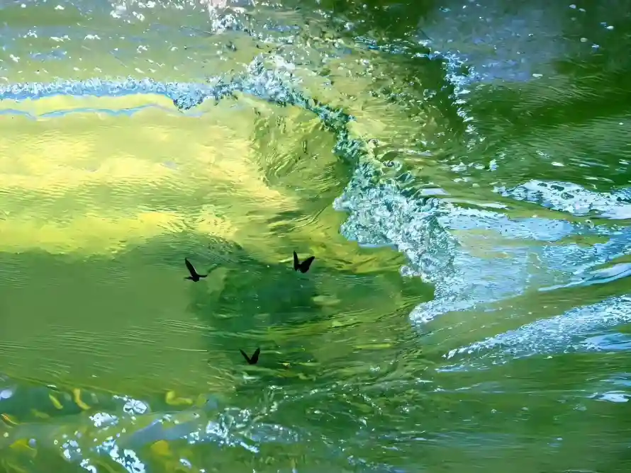 2k天光壁纸-水面 - 波光-浪花「哲风壁纸」