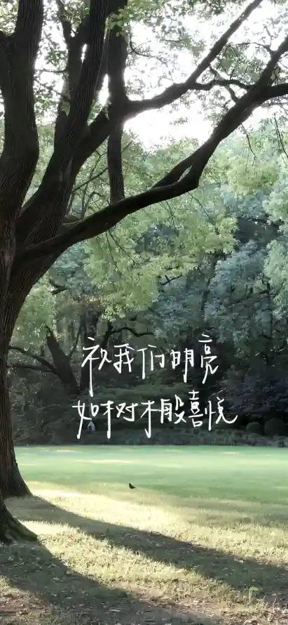 4k大树壁纸 - 文字 - 文艺 - 树林「哲风壁纸」