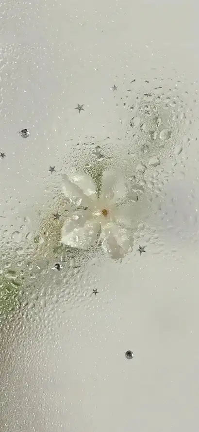 4k朦胧壁纸 - 植物 - 淡雅 - 清新「哲风壁纸」