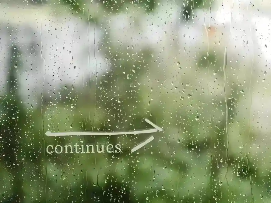 4k户外壁纸-模糊 - 湿润-箭头「哲风壁纸」