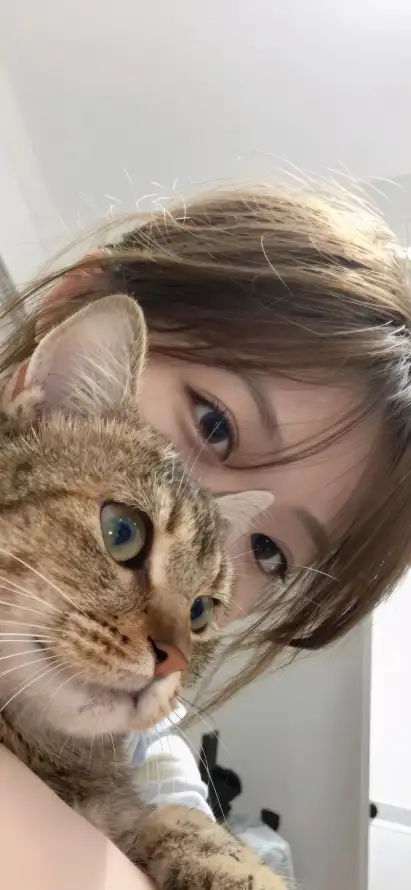 4k室内壁纸 - 小猫 - 抱猫 - 日常「哲风壁纸」