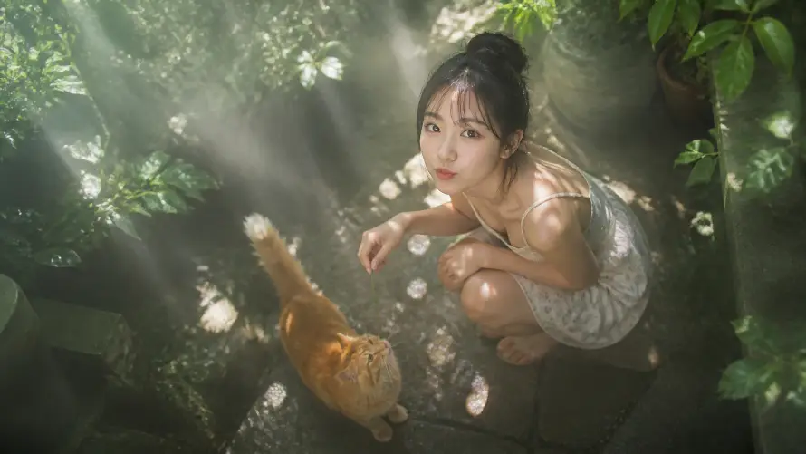 2k户外壁纸-林间 - 树荫-橘猫「哲风壁纸」