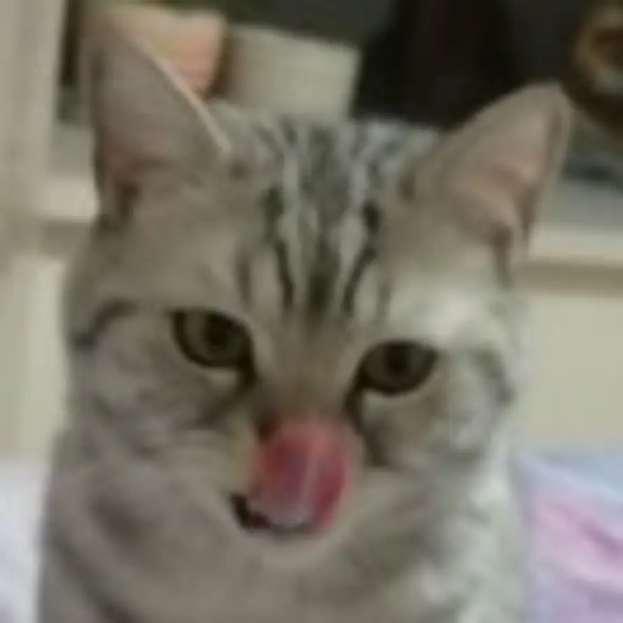 Toby不熬夜的头像