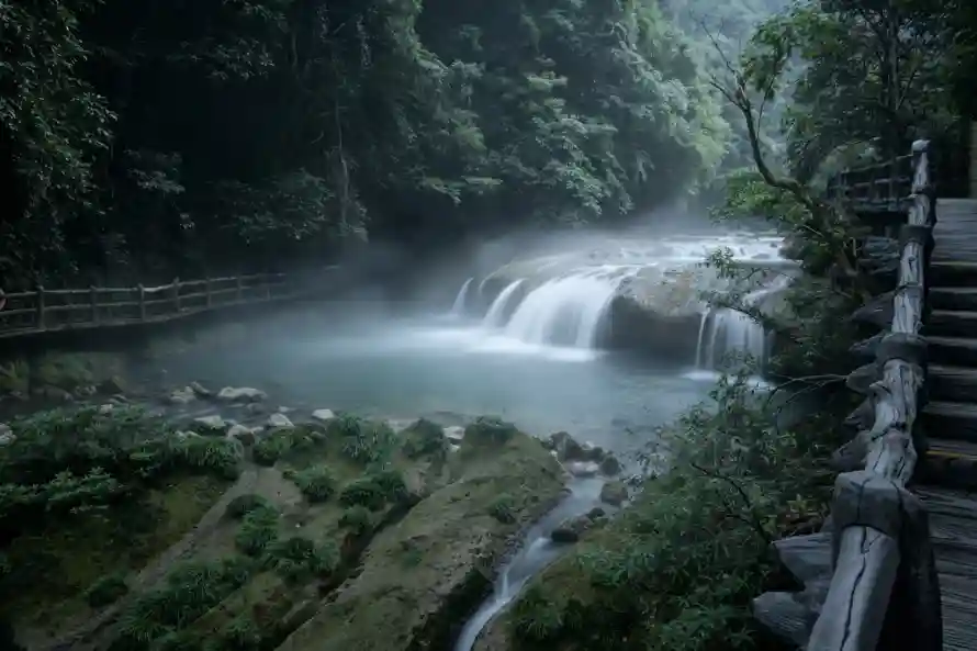 3k密林壁纸-岩石 - 森林-水雾「哲风壁纸」