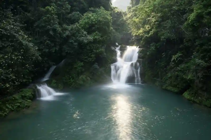 3k山林壁纸-森林 - 水潭-流水「哲风壁纸」