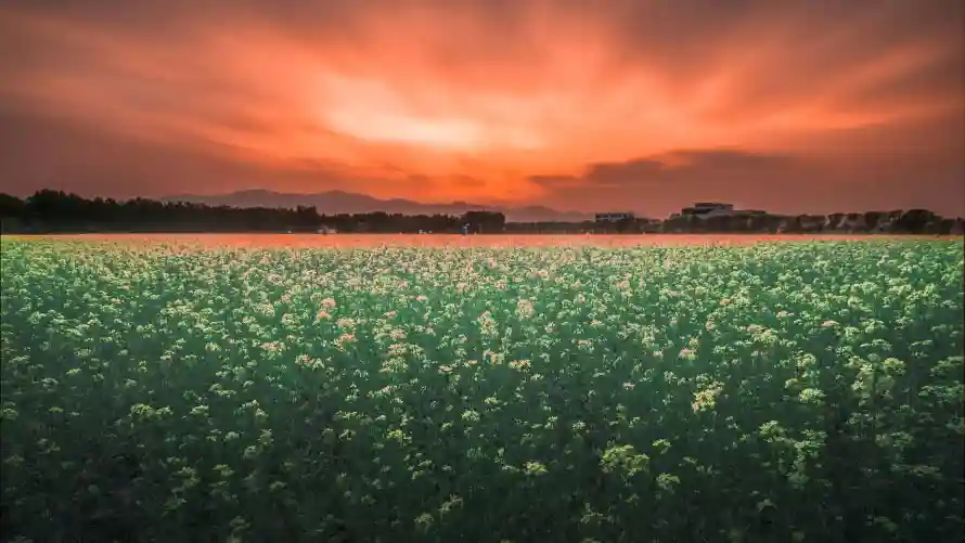 4k原野壁纸-壁纸 - 天空-户外「哲风壁纸」