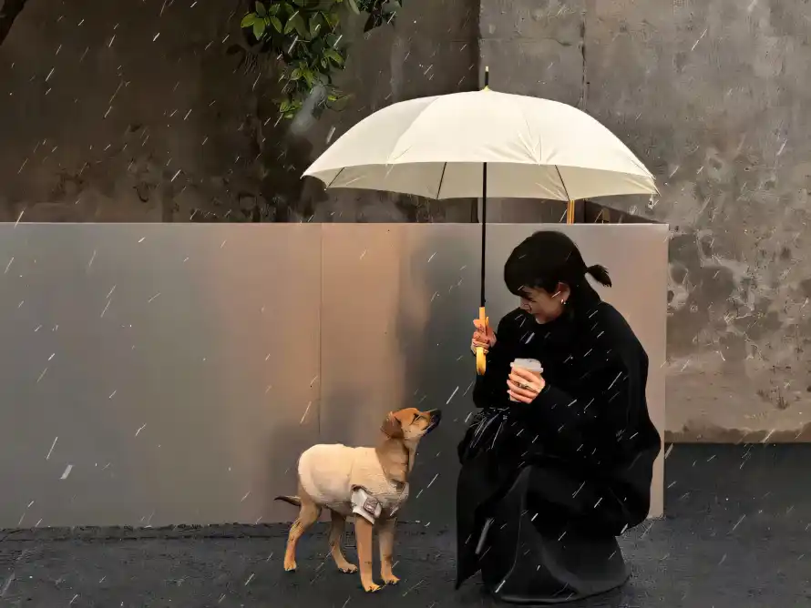 3k下雨壁纸-墙面 - 女生-奶茶「哲风壁纸」