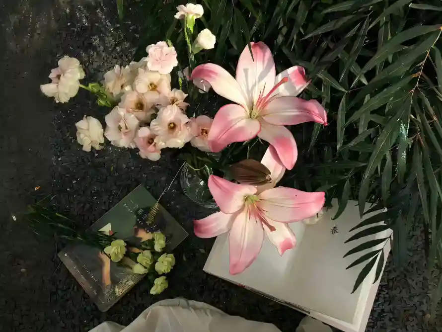 4k插花壁纸-清新 - 绿叶-花卉「哲风壁纸」