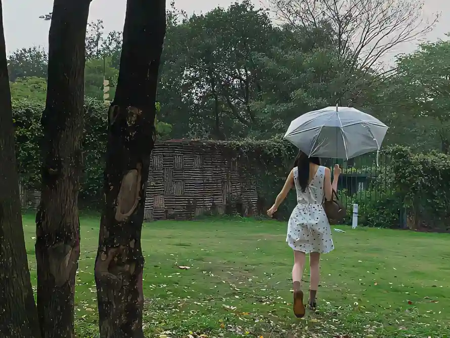 4k女生壁纸-户外 - 树干-树林「哲风壁纸」