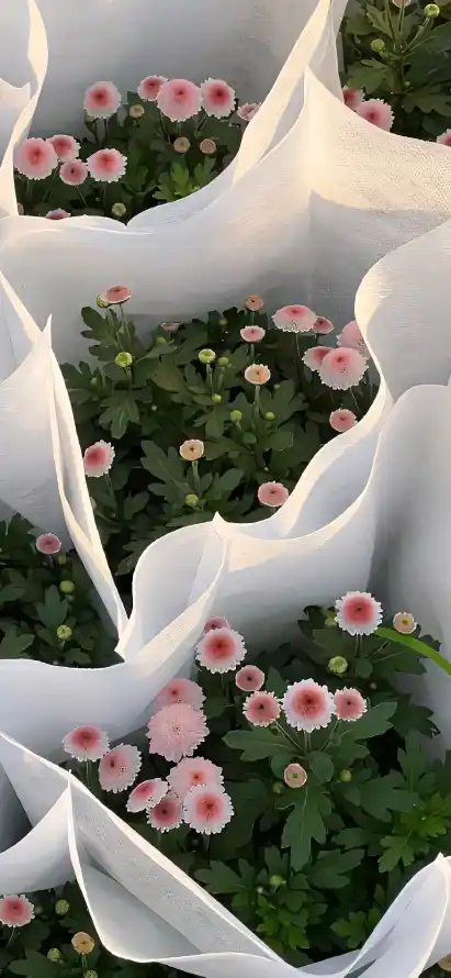 4k小花壁纸 - 植物 - 粉嫩 - 绿叶「哲风壁纸」