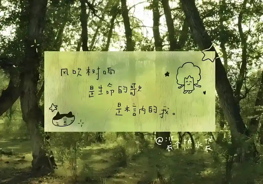 2k便签壁纸-卡通 - 手绘-文字「哲风壁纸」