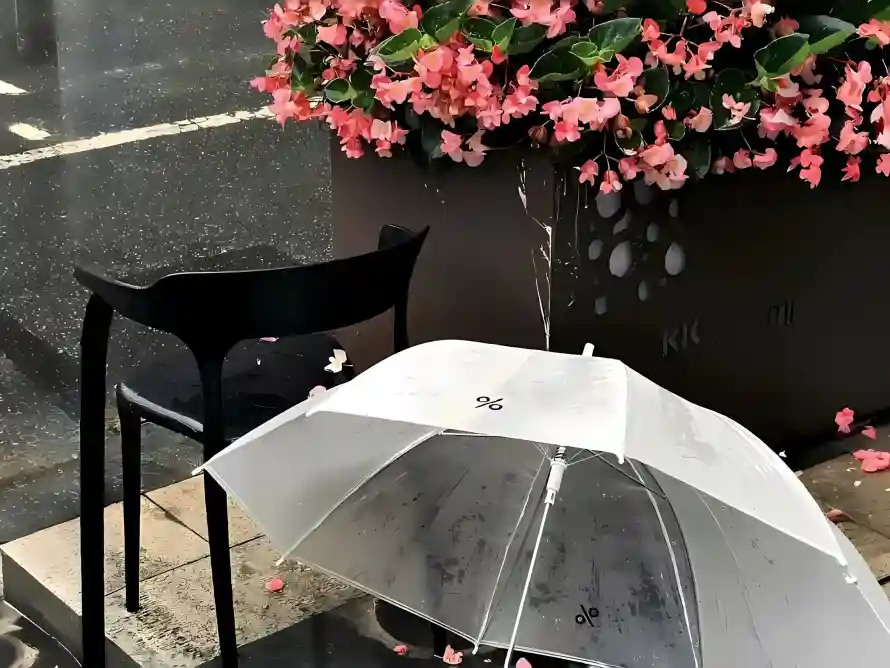 2k下雨壁纸-户外 - 椅子-湿润「哲风壁纸」 2k下雨壁纸-户外 - 椅子-湿润「哲风壁纸」