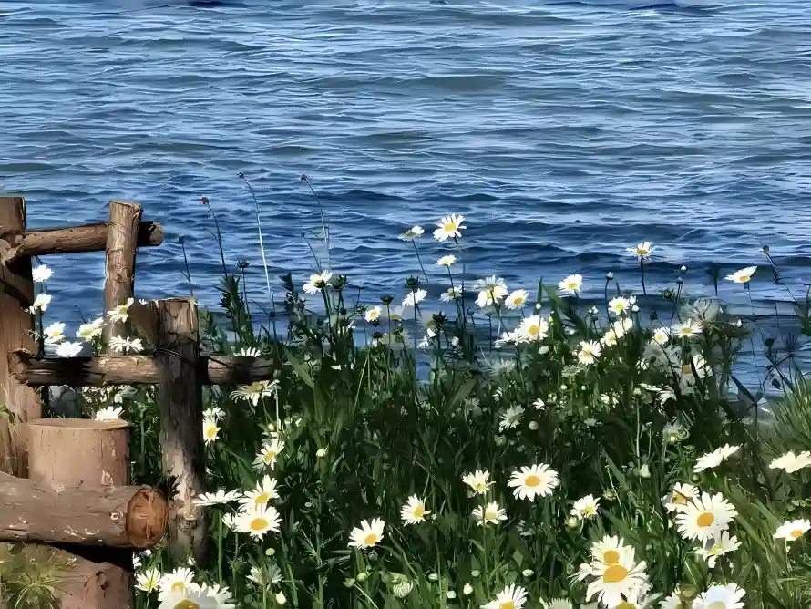 2k小花壁纸-户外 - 水面-湖边「哲风壁纸」