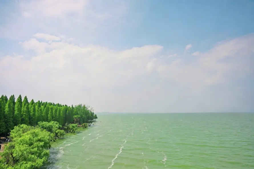 3k晴天壁纸-晴空 - 森林-水岸「哲风壁纸」