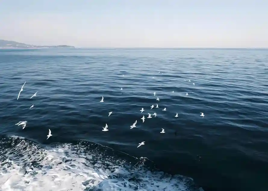 2k天空壁纸-浪花 - 海岸-海水「哲风壁纸」