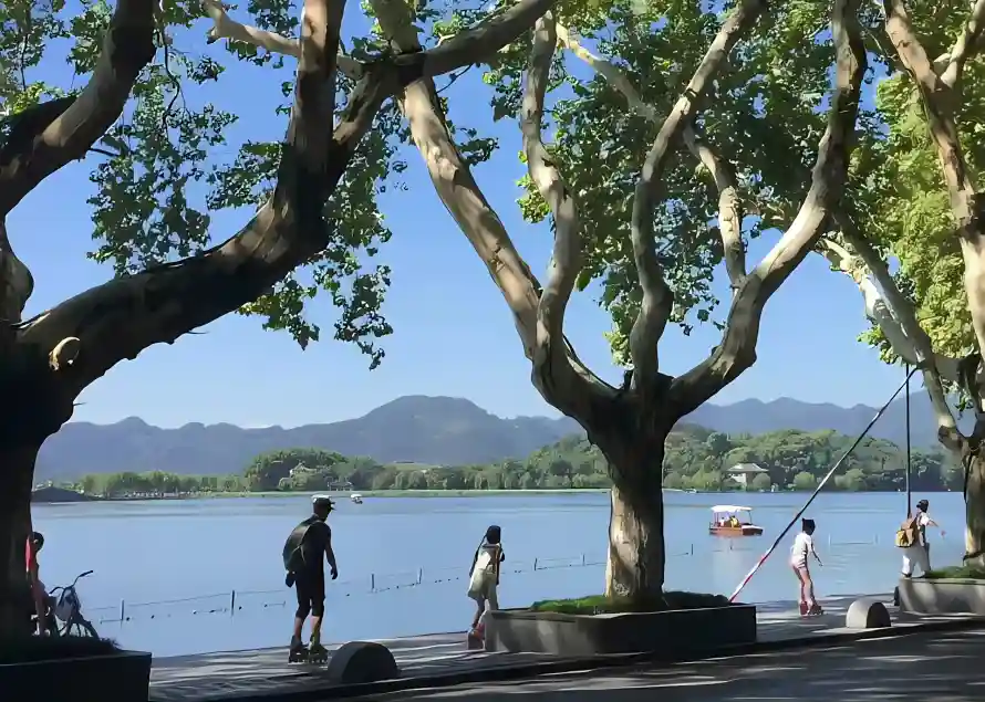 2k山峦壁纸-户外 - 晴天-树木「哲风壁纸」