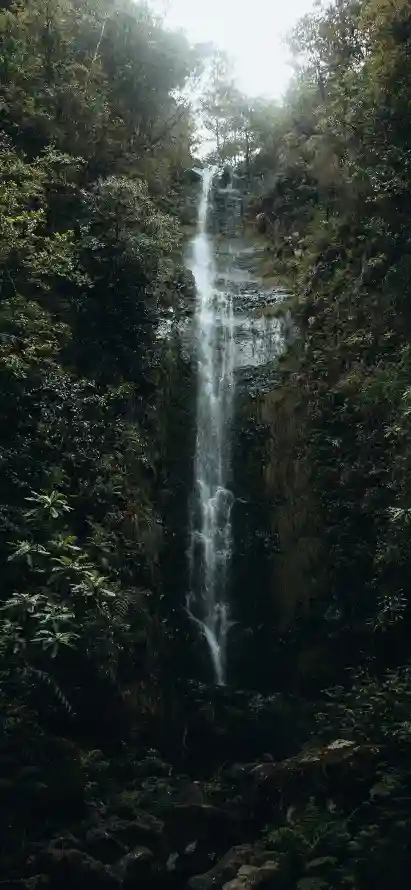 4k山林壁纸 - 山谷 - 峭壁 - 树林「哲风壁纸」