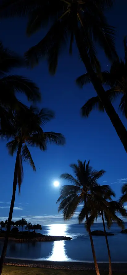 4k剪影壁纸 - 夜晚 - 度假 - 月亮「哲风壁纸」
