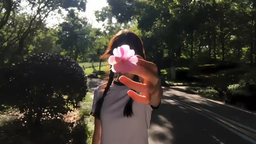 3k举花壁纸-公园 - 户外-树木「哲风壁纸」