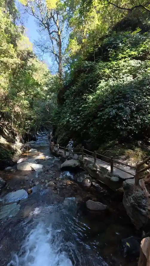 4k山林壁纸 - 山谷 - 栈道 - 树林「哲风壁纸」
