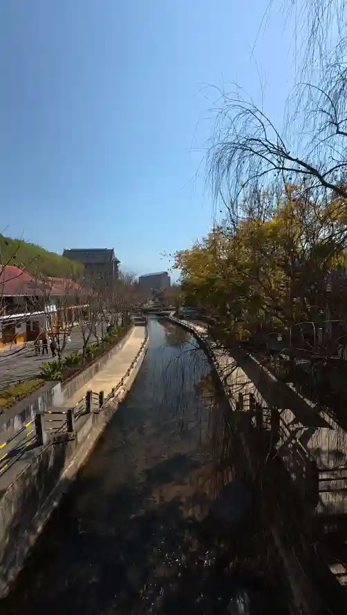 4k晴天壁纸 - 柳树 - 树木 - 水岸「哲风壁纸」