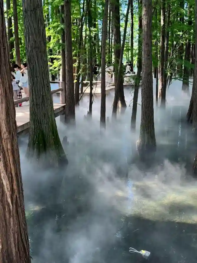 4k分享壁纸 - 壁纸 - 林间 - 栈道「哲风壁纸」